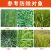 Pesticida Hexazol y Tiflutrofos Laien Ping'An para Malezas de Césped, Específicamente para Eliminar Especies de Malezas Como el Pasto Bermuda y el Pasto Diente de Perro