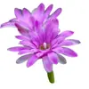 Cacto Flor de Jasmim Carmesim em vaso para decoração de escritório e casa, flores de varanda, mudas de suculentas
