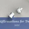 Clip de Oreja Irregular Distintivo de Lujo Ligero para Mujer, Clip de Oreja Elegante de Gama Alta, Diseño de Nicho, Pendientes Versátiles