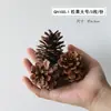Flores secas canela limão pinha mix e match flores secas artesanais pequeno buquê fresco aromaterapia pacote de material DIY lembrança presente