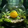 Mini Frutas Cortadas a la Mitad Juguetes de Comida Lindos Pegamento de Crema Accesorios para Llaveros DIY Pasador Goma para el Cabello Funda de Teléfono Imán para Refrigerador