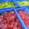 Juguete Popular Transfronterizo de Maltosa Manzana Verde para Alivio del Estrés, Juguete de Ventilación de Manzana Rosa, Juguete Moldeable de Rebote Lento para Apretar