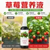 Solución Nutritiva para Fresas para Fresas en Maceta Caseras Cuidado Diario en Spray Suministro Nutricional Ayudante Esencial para la Jardinería