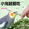 Recompensas de Entrenamiento de Snacks para Loros Comida para Pájaros Palo para Molar Gusano de Pan Mordida Especial Xuan Feng Piel de Tigre Sol Pequeño