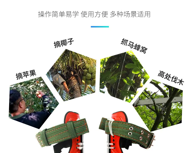 改图4_15.jpg