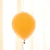Globos Macaron de Doble Capa de 10 Pulgadas al por Mayor Transfronterizos Látex Engrosado Color Caramelo Set de Globos para Decoración de Fiesta