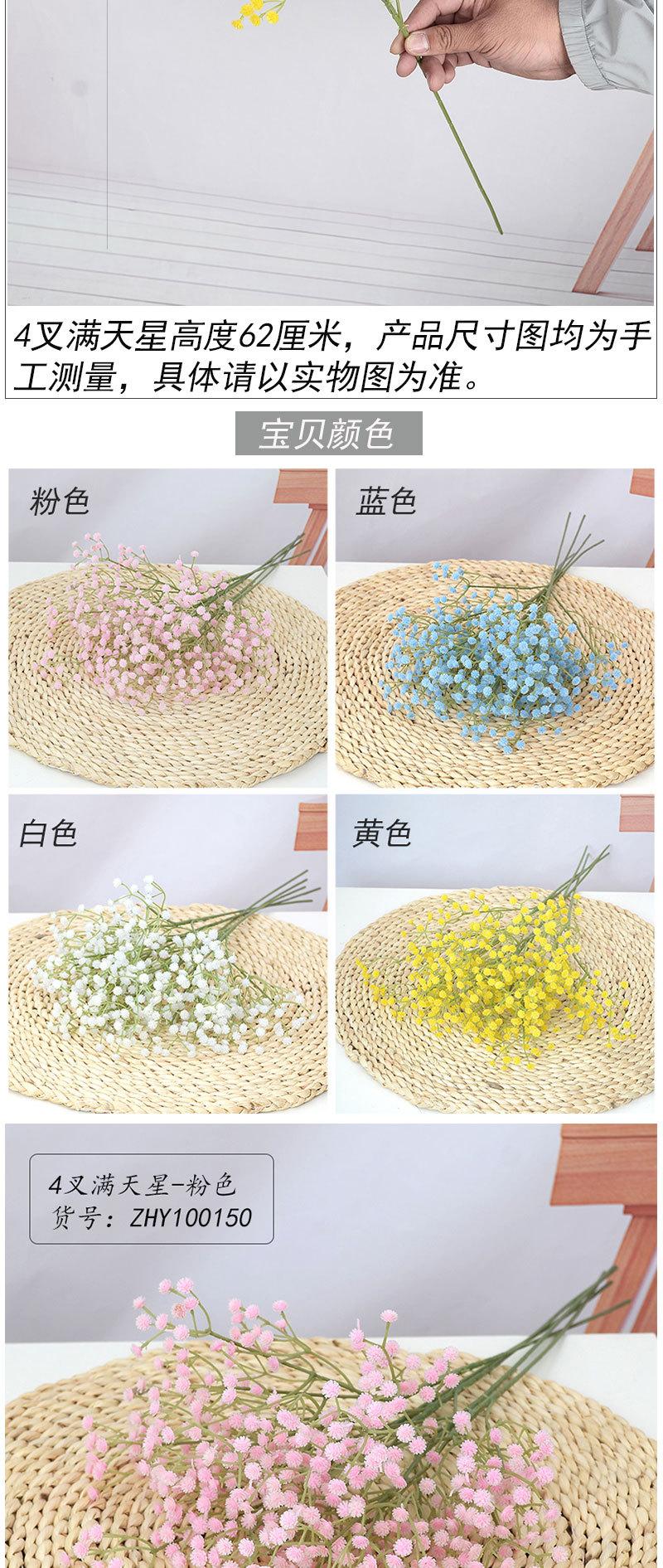 4叉满天星_02.jpg