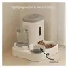 Alimentador Automático Perro Gato Tazón Mascota Almacenamiento Dispensador Contenedor