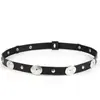 Sombrero Transfronterizo Cabeza de Vaca Cinturón Decorativo Estilo Étnico Retro Cuero PU Remache Cinturón Tejido a Mano Accesorios para Sombrero Vaquero
