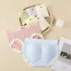 Pantalones de Algodón Puro con Cambio de Temperatura de Artemisa, Entrepierna de Algodón, Cintura Media, Cómodos, Sin Costuras, Bragas para Mujer, Venta al por Mayor de Fábrica