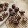 Suministros para arreglos navideños: piñas de pino naturales, troncos, plantas, frutos secos, material para crear ambientes, accesorios para disfraces, flores secas.