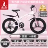 Bicicleta Infantil Phoenix para Niñas de 6-12-15 Años, Adolescentes, Niños Mayores, Bicicleta de Montaña con Cambios para Estudiantes