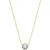 Luz de Nicho Lujo Francés Gama Alta Acero de Titanio Color Circonita Cadena Fina Sin Color para Mujer Ins Versátil Elegante Cadena para Clavícula