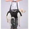 Novo Arnês de Suporte para Animais de Estimação para Cães Idosos, Cães com Deficiência, Coleira de Caminhada para Reabilitação