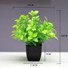 Venda quente transfronteiriça Simulação de planta Planta falsa Planta verde Decoração interna e externa Simulação de eucalipto em vaso de plástico Planta pequena em vaso