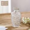 Decoração para casa em estilo aromaterapia pequeno vaso de vidro escritório decoração de mesa vaso nórdico retro alto sentido