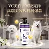 Gel de Ducha para Mascotas, Esterilizante, Elimina Ácaros, Desodorante y Fragante, Champú Universal para Perros y Gatos, Venta al por Mayor de Fábrica OEM