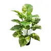 Ventas Directas de Fábrica Artesanías Plantas Verdes Artificiales Simuladas Flores y Hojas Falsas de Guanyin Verde Plantas en Maceta para Sala de Estar del Hogar
