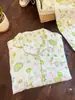 Pijama Fofo de Renda Menina Gato Maçã Verde Conjunto Cardigan de Manga Longa Calça Roupa de Casa Ins Primavera e Outono