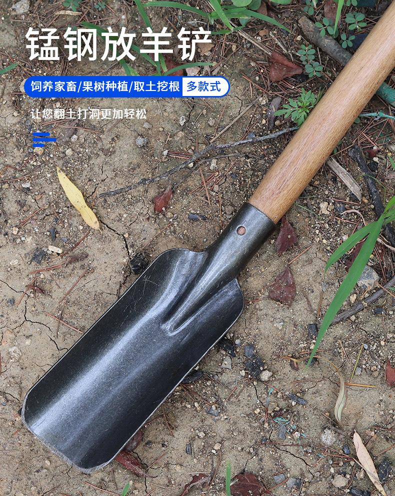 详情_01.jpg