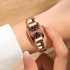 Reloj de acero de tungsteno para mujer, impermeable, temperamento simple, reloj para mujer, esfera pequeña, reloj de cuarzo para mujer, comercio exterior transfronterizo, envío de primera mano