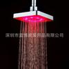 Comércio Eletrônico Transfronteiriço Exclusivo LED Top Spray Sensor de Temperatura/Luz Colorida que Muda de Cor 6 polegadas Grande Chuveiro 8020-B1