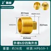 Enchufe a Prueba de Explosiones de Rosca Hexagonal Exterior de Cobre de 4 Puntos Cable Enchufe Tapa de Enchufe de 6 Puntos Tapón de Tubería de Pared de 1 Pulgada con Diente Interior Tapa para Tubería de Agua