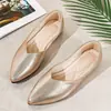 Sapatos rasos femininos de outono novos, bico fino, para tamanhos grandes, estilo estrangeiro, mocassins macios com solado macio, de salto baixo, estilo fada
