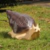 Jardim Externo Gramado alto-falante de prata animal de simulação alto-falante de gramado Parque jardim rochoso alto-falante criativo