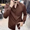 Camisa de marca francesa de alta gama con botones ocultos para hombre, corte slim fit, estilo business casual, resistente a las arrugas, camisa blanca de manga larga, nuevo modelo de primavera