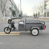 1.1 Triciclo Eléctrico Pequeño para Uso Doméstico, Vehículo a Batería para Transporte de Personas Mayores, Compras de Comestibles y Viajes, Fabricante Mayorista de Triciclos Eléctricos