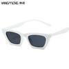 Nuevas gafas de sol estilo ojo de gato de celebridades europeas y americanas en línea, gafas de sol de moda para damas de color caramelo, gafas de sol con montura pequeña, venta al por mayor transfronteriza