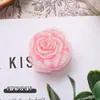 Lindo Soporte de Notas Acrílico de Frutas para Estudiantes Creativo Lindo Dibujo Animado Adornos de Escritorio Soporte para Tarjetas de Mensaje y Foto