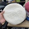 Boina Simple de Estilo Japonés para Combinar con Todo para Mujer Verano Delgada Calada Tencel Gorro de Botón Sombrero Británico de Pintura Famoso en Internet