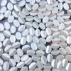 Perla de Imitación ABS Blanco Crudo Semilla de Melón Ovalada Diyi Cuentas Hechas a Mano Cuentas Sueltas Bolso Tejido Cadena para Teléfono Móvil Llavero