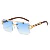 Nuevas Gafas de Sol Cuadradas sin Montura de Doble Puente para Hombre, Gafas de Sol de Moda Europeas y Americanas con Estampado de Leopardo para Mujer