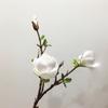 Flor de magnolia de simulación directa de fábrica, adornos de mesa de sala de estar, piso, paisajismo, flores decorativas, kapok al por mayor