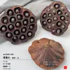 Pinha Chips de Madeira Bolota Materiais Secos Foto Frame de Planta DIY Artesanal Pacote de Material de Flor Seca Decoração de Exibição