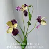 3 Cabezas de Flores Artificiales de Eva tipo Lirio de Iris, Arreglos Florales para Decoración de Hotel, Flores de Iris al por Mayor de Comercio Exterior Transfronterizo