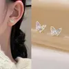 Pendientes de concha con borlas, frescos y sencillos, con un diseño único, nuevos estilos de primavera y verano para mujer, venta al por mayor