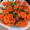 Plántulas de Rosas, Enredaderas Trepadoras, Plántulas Pequeñas, Frutales, Rosas de Balcón Florecientes, Plantas de Interior en Maceta, Fáciles de Cuidar en Todas las Estaciones, Flores, Rosas, Plantas Verdes