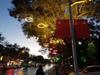 Lámpara de modelado LED Halo para exteriores, impermeable, lámpara para árbol, colgante, lámpara de iluminación para carretera, paisaje, patio, plaza, lámpara de iluminación para festivales