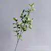 Plantas Verdes Artificiais, Galhos de Salgueiro Nevado, Frutas Verdes Perenes, Decoração de Bola de Handebol, Flores Artificiais, Arranjo de Flores para Casa, Estilo Coreano, Pequeno Fresco e Divertido Selvagem