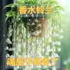 [Descuento Directo por Primer Pedido] Plántulas de Perfume Muguete, Capullos de Flores de Aroma Fuerte, Plantas Verdes, Plantas Perennes Resistentes al Frío para Todas las Estaciones