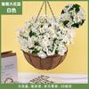 Plantas Colgantes Artificiales Colgantes de Pared Lirio Cesta Pequeña de Flores Flores Falsas Margarita Pequeña Flor de Gloria de la Mañana Rama Decoración del Hogar