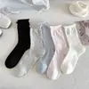 Meias Femininas de Meia-Canela para Primavera e Verão, Estilo Coreano Moderno, Versáteis Meias de Algodão com Bolinhas e Borda Enrolada, Meias Femininas Sem Costura