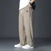 Pantalones de Nueva Llegada Primavera y Otoño 2024 Combinan con Todo Sueltos Rectos Atractivos de Moda Marca Pierna Ancha Deportivos Casuales para Hombre