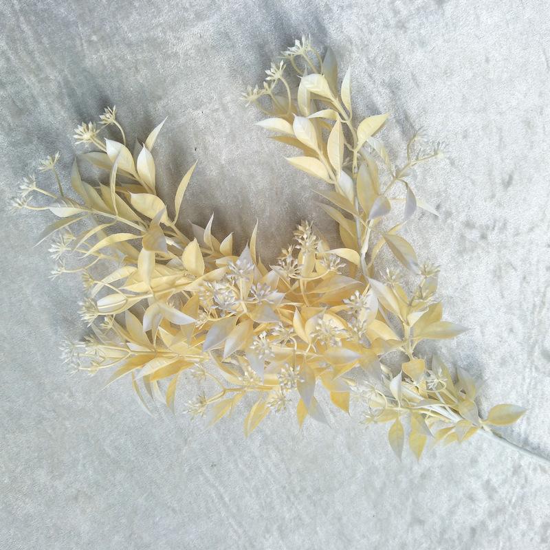 水芙蓉2号香槟