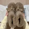 Botas de Nieve Peludas Blancas con Lazo para Mujer 2025 Invierno Nuevas Botas Cortas Cálidas de Terciopelo Versátiles Zapatos de Algodón del Noreste
