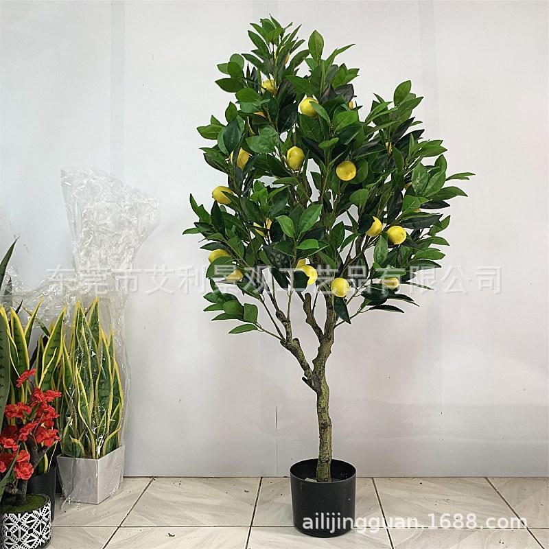 c2d6b8aad6264f018512bd7a2bd9b5